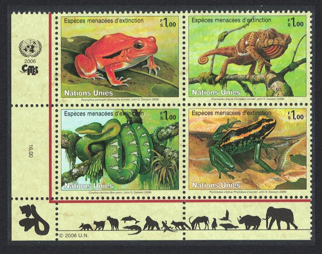 United Nations - Geneva Frog Chameleon Boa snake Block of 4 2006 MNH SG#G520-G523 MI#537-540 Sc#453-456