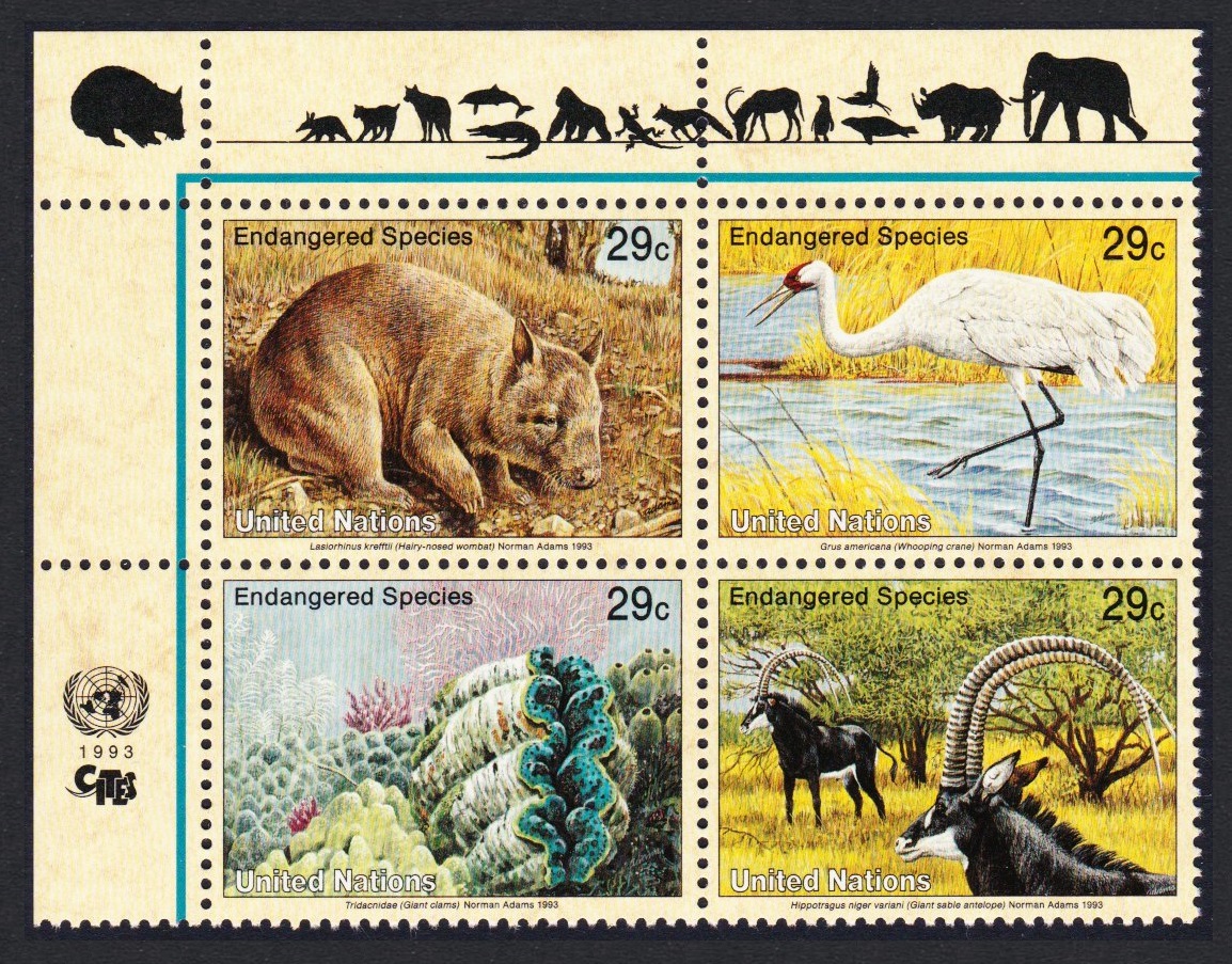 United Nations - New York Birds Wombat Crane Clams Antelope Block of 4v Margins 1993 MNH SG#630-633 Sc#623a