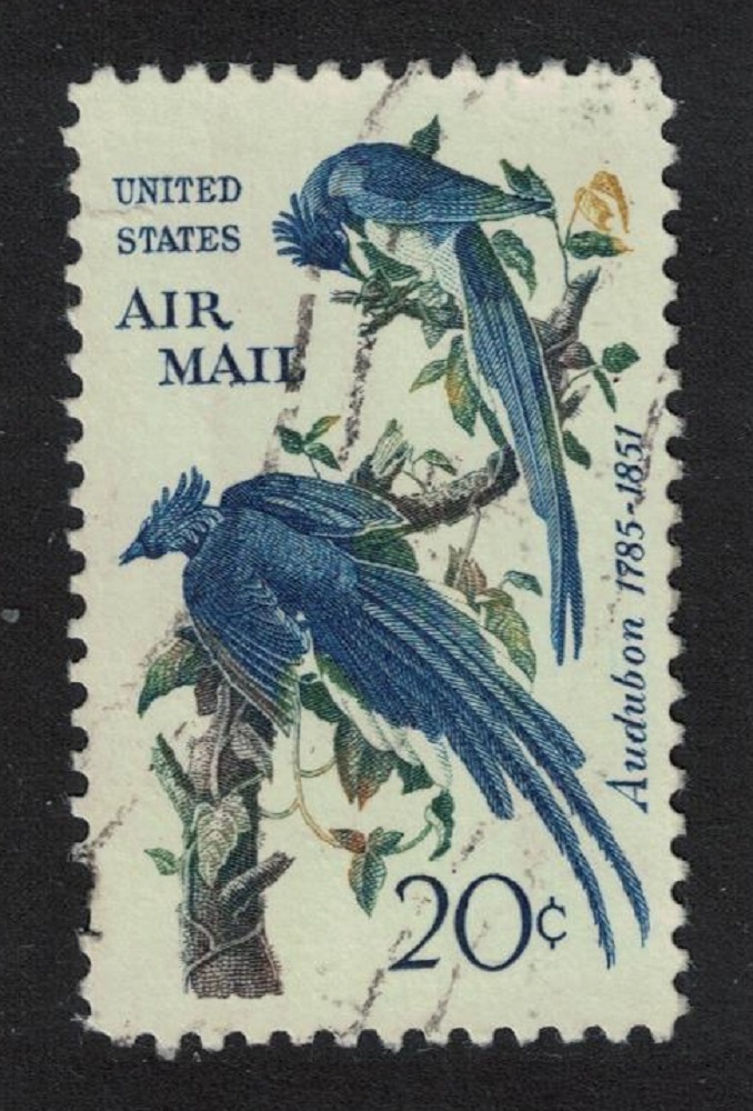 United States of America Collie&#39;s Magpie-jays Birds Audubon 5c T1 1963 Canc SG#1223 MI#854