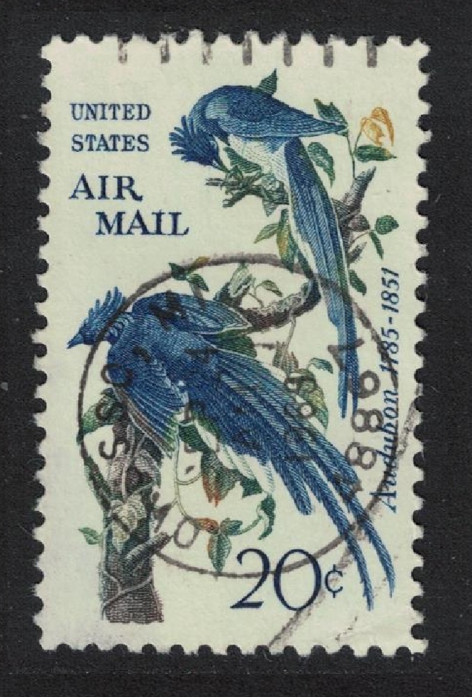 United States of America Collie&#39;s Magpie-jays Birds Audubon 5c T2 1963 Canc SG#1223 MI#854