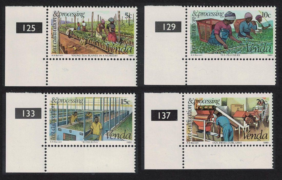 Venda Tea Cultivation 4v Corners 1980 MNH SG#26-29