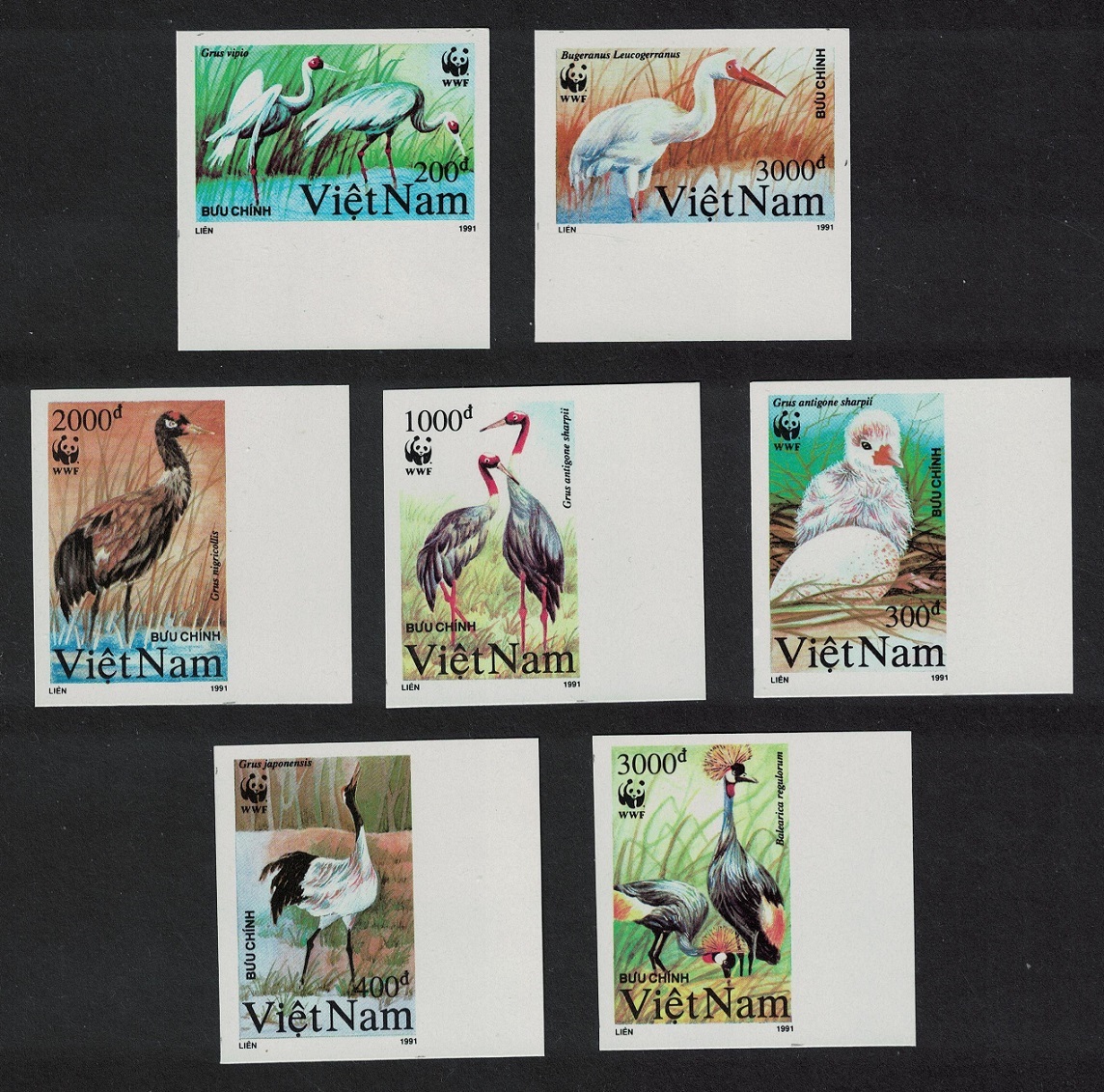 Vietnam Birds WWF Cranes 7v imperf Long Margins 1991 MNH SG#1557-1563 MI#2302U-2308U Sc#2243-2249