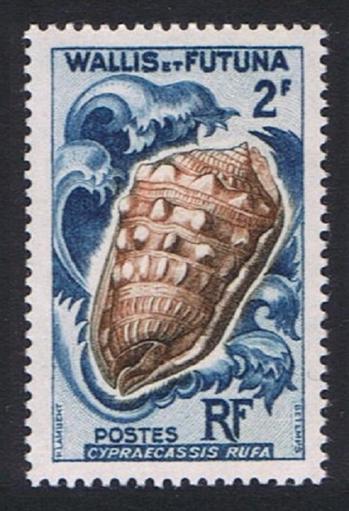 Wallis and Futuna Shells 2Fr 1962 MNH SG#175 Sc#161