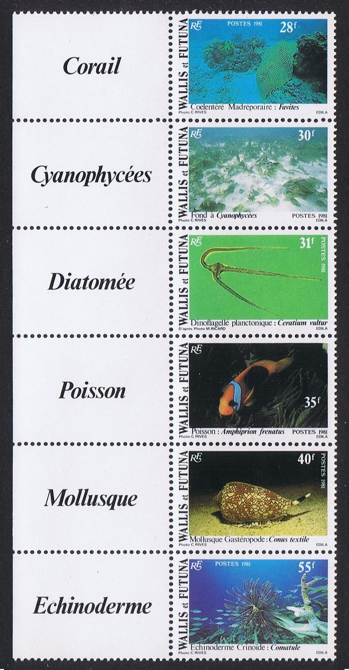 Wallis and Futuna Fish Shells Corals Undersea Fauna strip of 6v Left Labels 1981 MNH SG#370-375 Sc#269a