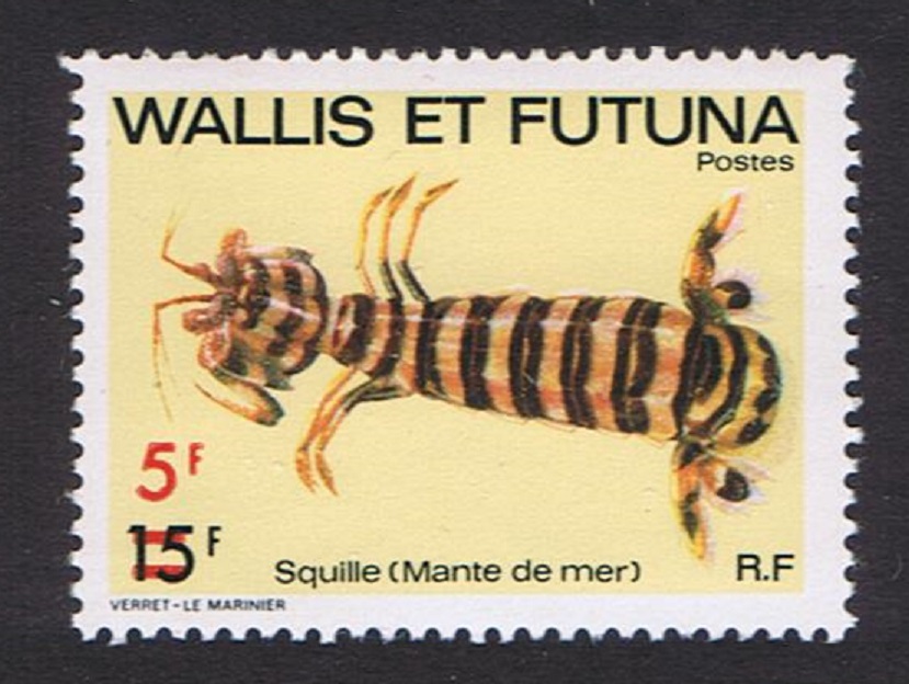 Wallis and Futuna 5f on 15f Squilla Marine Life Overprint 1981 MNH SG#379 Sc#272