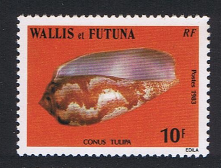 Wallis and Futuna Sea Shells Tulip Cone 1983 MNH SG#428 Sc#303