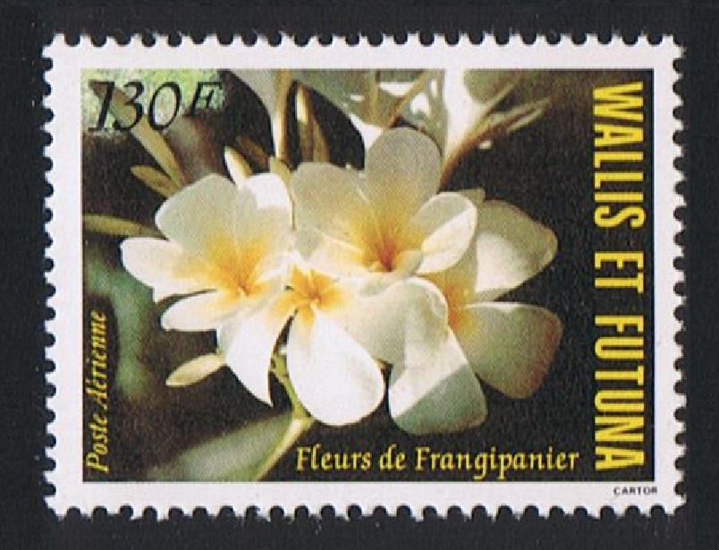 Wallis and Futuna Frangipani Flower 1984 MNH SG#439 Sc#C131