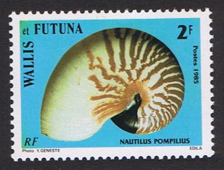 Wallis and Futuna Sea Shells 2f 1985 MNH SG#459 MI#479 Sc#320