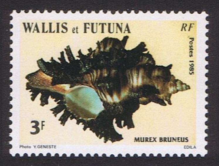 Wallis and Futuna Sea Shells 3f 1985 MNH SG#460 MI#480 Sc#321