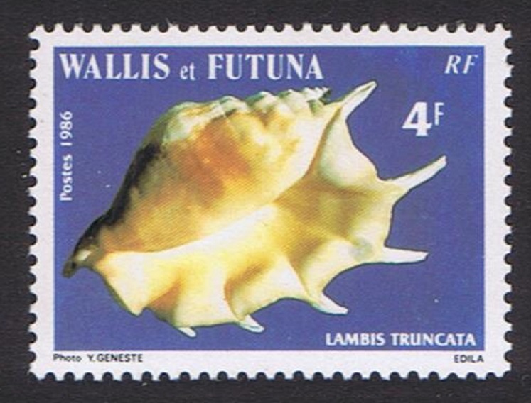 Wallis and Futuna Sea Shells 4f &#39;Lambis Truncata&#39; 1986 MNH SG#481 Sc#333