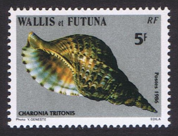 Wallis and Futuna Sea Shells 5f &#39;Charonia Tritonis&#39; 1986 MNH SG#482 Sc#334