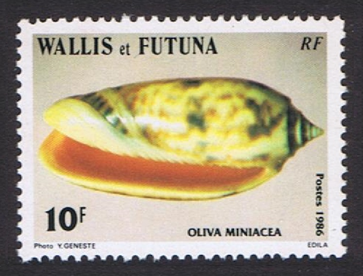 Wallis and Futuna Sea Shells 10f &#39;Oliva Miniacea&#39; 1986 MNH SG#483 Sc#335