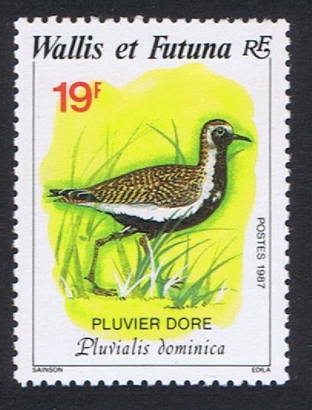 Wallis and Futuna Birds Pacific Golden Plover 19f 1987 MNH SG#521 Sc#364