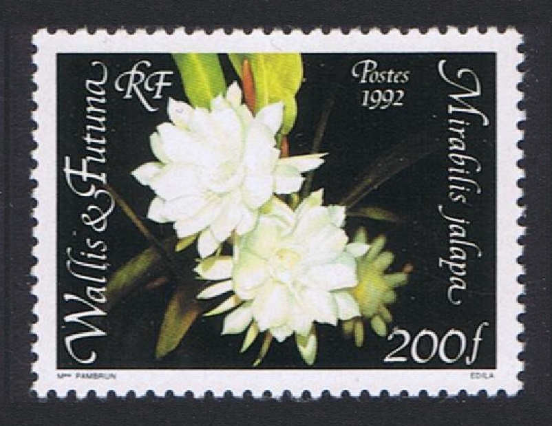 Wallis and Futuna Mirabilis Jalapa Flower 1992 MNH SG#616 Sc#439