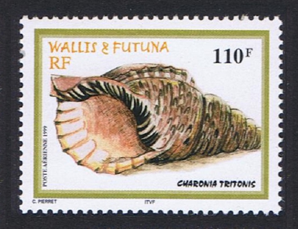 Wallis and Futuna Shells Trumpet Triton 110f 1999 MNH SG#738 Sc#C209