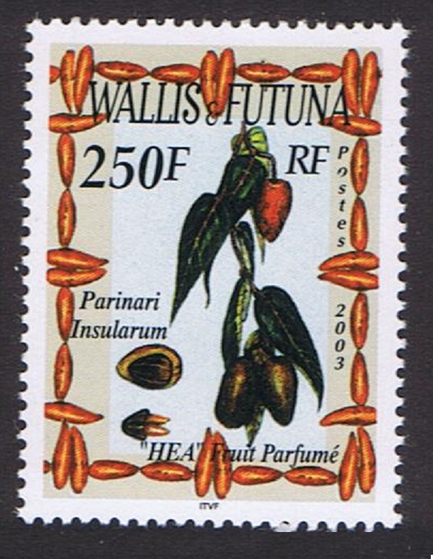 Wallis and Futuna Scented Fruit - Parinari Insularum 2003 MNH SG#844 Sc#579