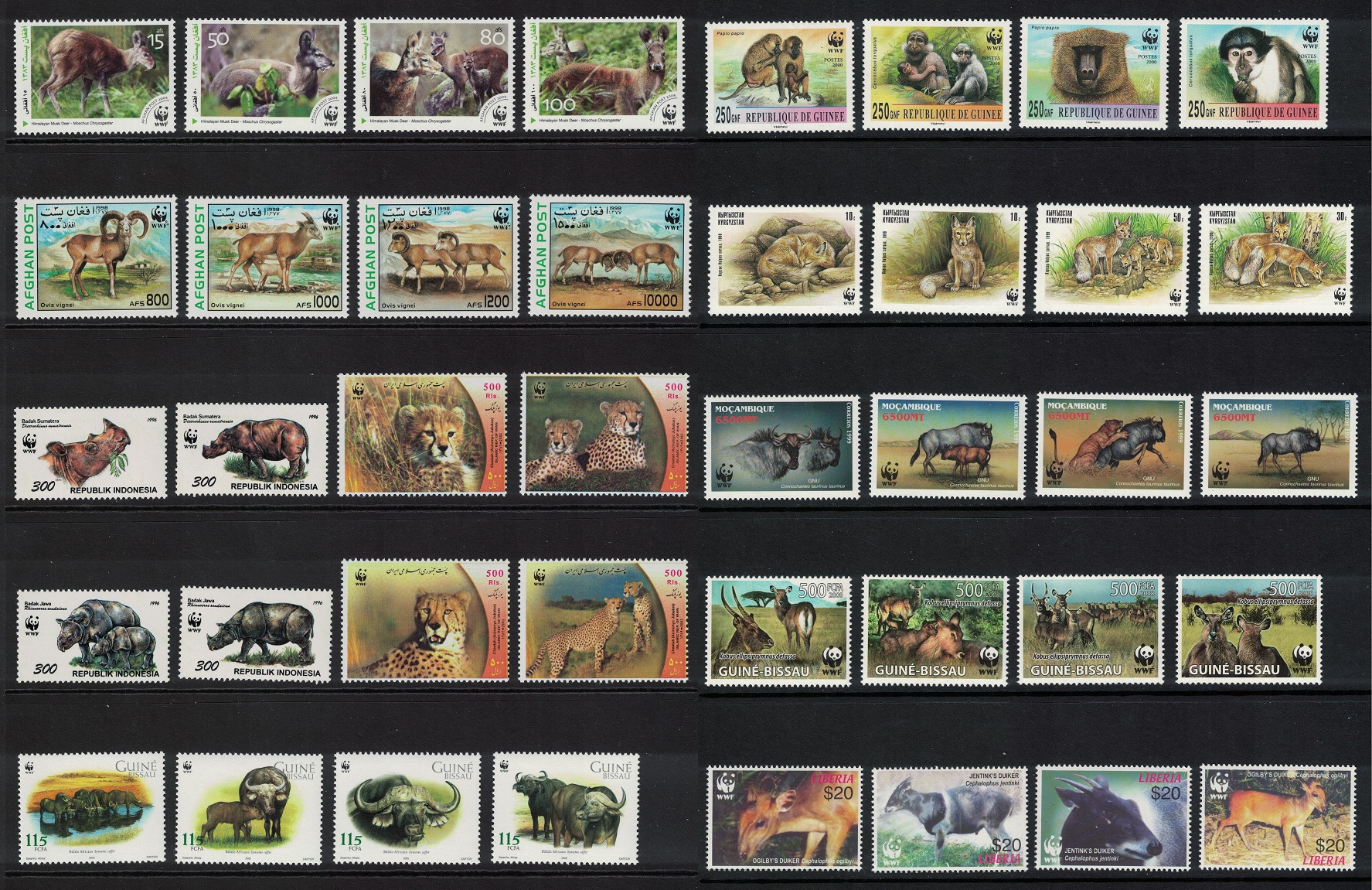 WWF Wild Animals Big Collection WWF 2000 MNH