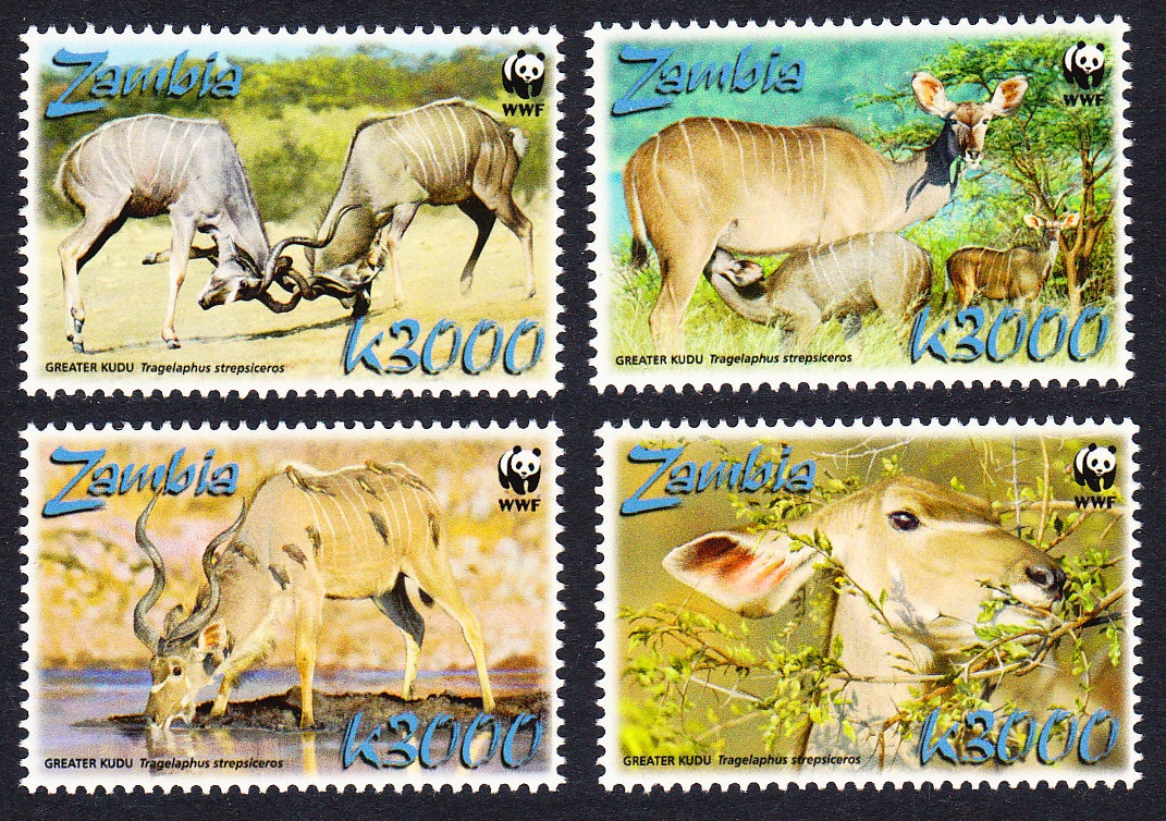 Zambia WWF Greater Kudu 4v 2008 MNH SG#1049-1052 MI#1606-1609 Sc#1103a-d