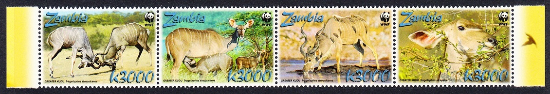 Zambia WWF Greater Kudu Strip of 4v 2008 MNH SG#1049-1052 MI#1606-1609 Sc#1103a-d